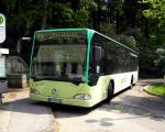 BAD RR 120 Merkuwald/Bergbahn