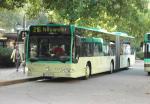 Citaro Gelenkbus auf der Linie 216