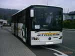 Striebig Reiebus