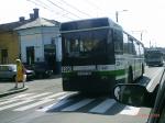 Bus in Cluj-Napoca (Klausenburg)