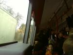 Voller Bus