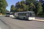 Zwei Mercedes Busse der Gemenc Volán