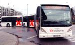 XXL-Bus