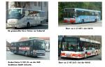versch. Busse aus meiner Umgebung  >2<