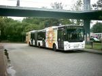 Centroliner Gelenk