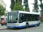 Havelbus Cito