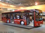 IAA - Lions City M