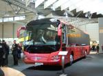 Lion's Regio IAA