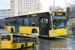 Linie 177