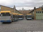 viele O530