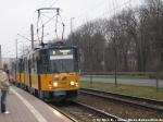 ein "Neitech"-T6 :D