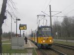 T6A2 auf Linie 8