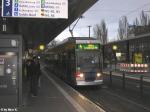 NGT8 1145 am HBF