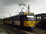 T4DM2 2051 in Lausen
