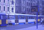 T4DM 2076 in Beige