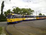 T4DM Großzug