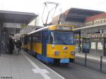 T4DM 2136 am HBF
