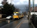 Dresden 244021 Alttolkewitz