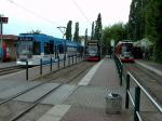 639 + 642 + 633 Halle Trotha