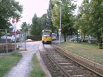 T4D in waldigen Viertel