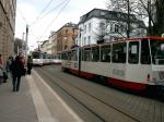 Am Zwickauer Neumarkt steppt der Bär