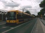3Trams und ein Bus