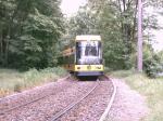 NGT8DD kommt aus dem Wald