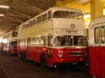 Straßenbahnmuseum (5)