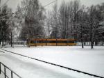 2635 - Hellerau im Schnee