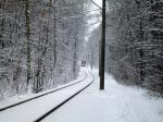 Schnee in Dresden - aber die Bahn kommt