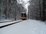 Schnee in Dresden - aber die Bahn kommt