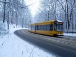 Schnee in Dresden