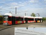 City Tour