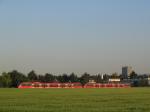 Ein Roter im Grünen