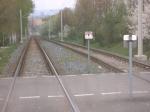 Gleis mit Löwenzahn