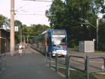 Linie 9 in Köln Königsforst