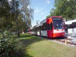 Die Linie 12 in der Stumpfwende Zollstock...